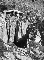 Figure 5 Georges Lépineux