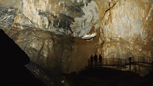 Vidéo Visite Découverte