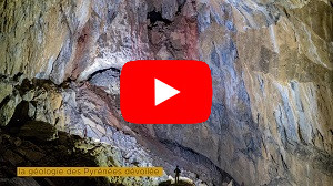 Vidéo Aventure Lépineux